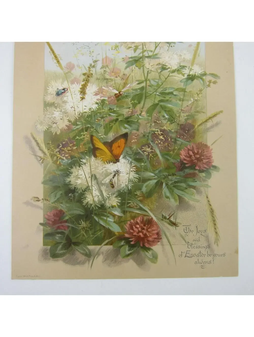 Victorian Easter Greeting Card Flowers Wheat Butterfly Grasshopper Antique 1884